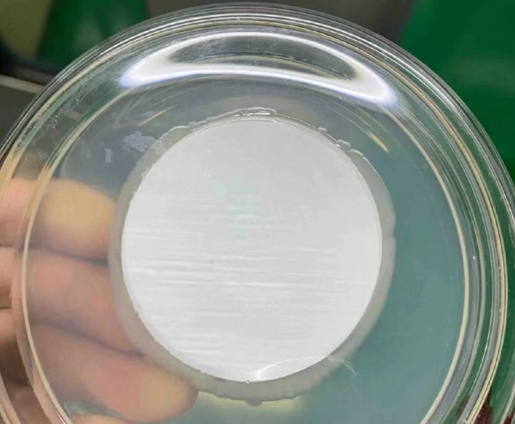 1750152361355104.jpg 1.jpg